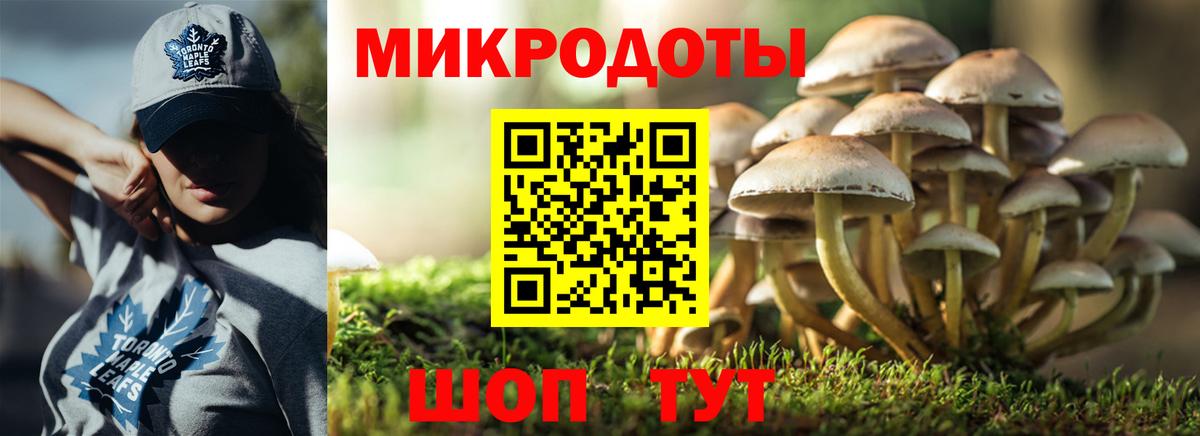 Тара  Галлюциногенные грибы Cubensis  Галлюциногенные грибы мухоморы  Вход с VPN 